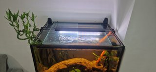 Acuario completo 394L con soporte y accesorios