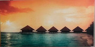 Cuadro Decorativo Atardecer Tropical