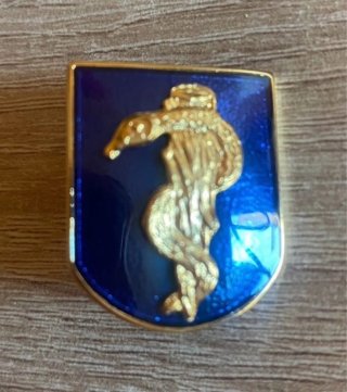 Distintivo Enfermería Militar Dorado Azul