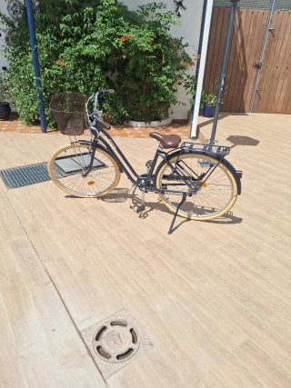 Bicicleta paseo mujer