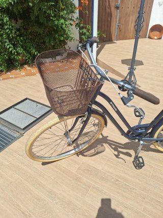 Bicicleta paseo mujer