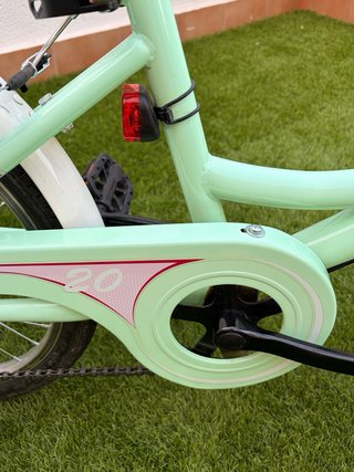 Bicicleta B-Pro 20 Mint