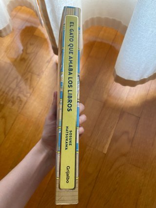El gato que amaba los libros