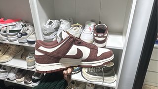 Zapatillas Nike Dunk Terciopelo