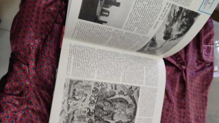Las 13 Lunas de 1981" - Temario 1981 - Difusora In