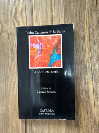 La vida es sueno
