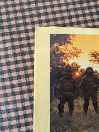 Revista Tortugas Ninja: Los Héroes de los 90