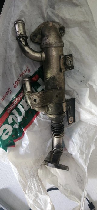 Enfriador EGR 1.9 TDI Audi