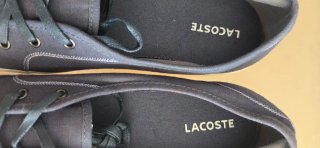 Zapatillas Lacoste Azul Marino y Blanco