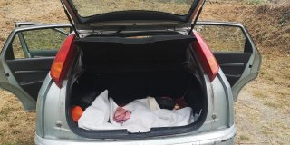 Ford Focus 2004