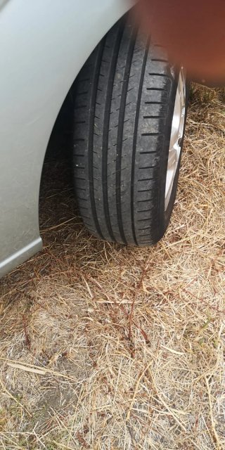 Ford Focus 2004