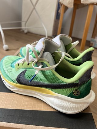 Nike Pegasus 41 Talla 44.5 (2 usos)