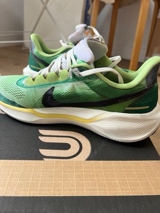 Nike Pegasus 41 Talla 44.5 (2 usos)