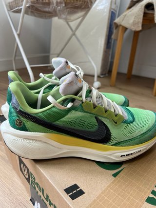 Nike Pegasus 41 Talla 44.5 (2 usos)