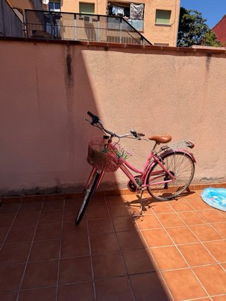 Bicicleta Vintage Rosa