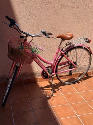 Bicicleta Vintage Rosa