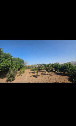 Finca en venta por jubilación