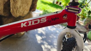 Bicicleta Infantil Kids by Indur Roja