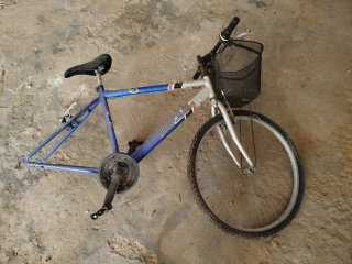 Bicicleta BTT Globetrotter