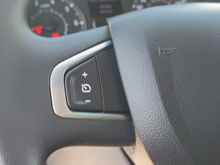 RENAULT MASTER 2.3 DCI PAQUETERO TRAMPILLA 145 CV
