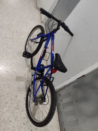 Bicicleta infantil azul