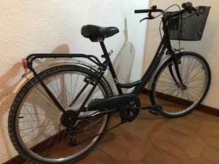 Unisex rod 26 “ de Paseo con sexta
