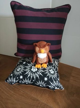 Cojines Harry Potter y Búho Peluche