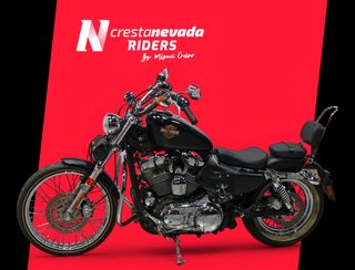 Harley-Davidson XL 1200 V SPORTSTER  Seventy-Two
