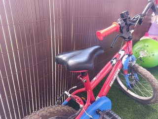 Bicicleta infantil 16 DENBIKE