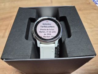 Reloj Garmin Fenix 6S Plata y Blanco