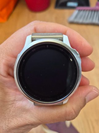 Reloj Garmin Fenix 6S Plata y Blanco