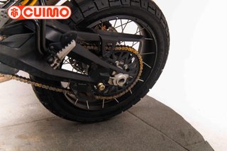DUCATI DESERT X RALLY