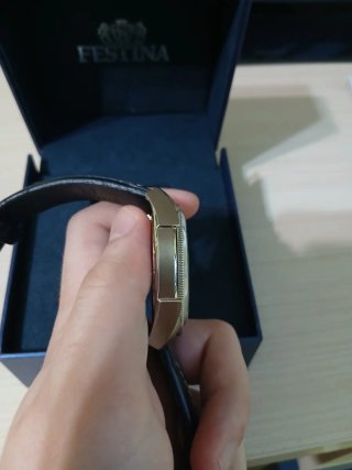 Festina Multifunction F16572/4