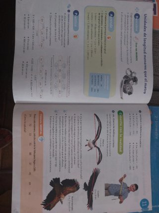 Libros 4° primaria. Santillana.