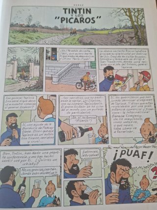 Tintin y los "picaros"