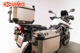 TRIUMPH TIGER 800 XR X LOW
