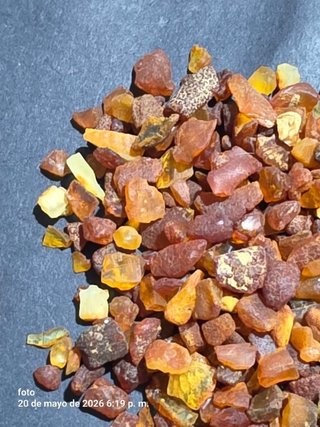 Ambar crudo del Baltico