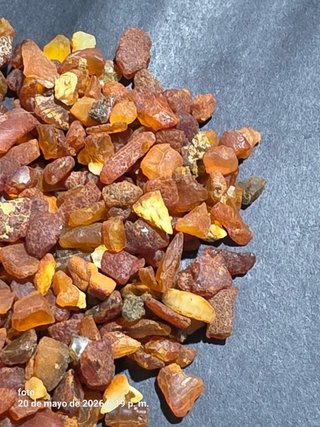 Ambar crudo del Baltico