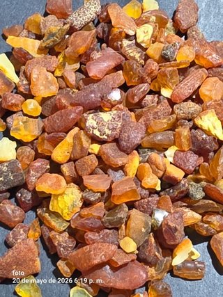 Ambar crudo del Baltico