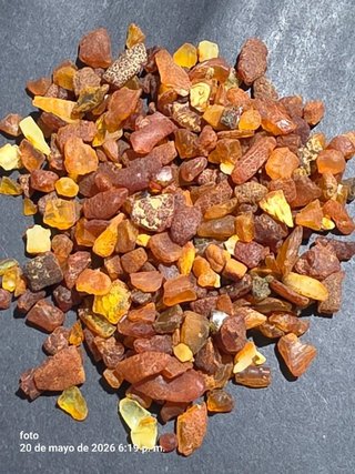 Ambar crudo del Baltico