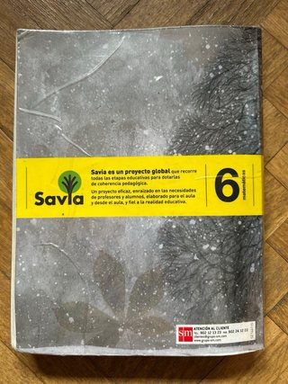 Matemáticas, 6 Primaria Savia