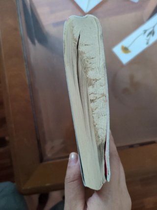 Detrás del ruido