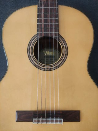 Guitarra Española Valencia