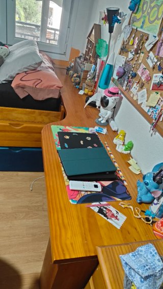 Cama nido con escritorio y zapatero