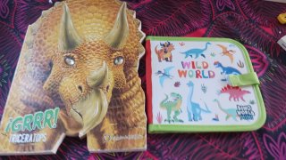 Li ro infantil y carpeta bebe