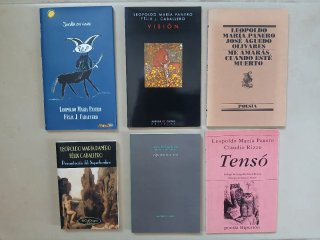Libros de poesía de Leopoldo María Panero