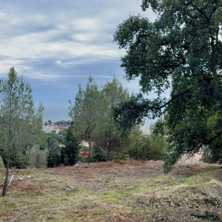 Una parcela de la Roca Grossa