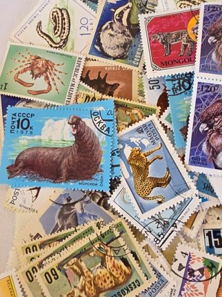 Lote de sellos de animales y perros