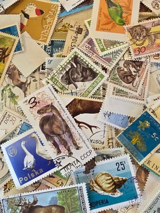 Lote de sellos de animales y perros