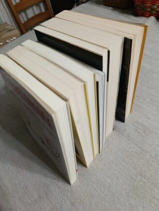 Lote de 7 libros temática variada